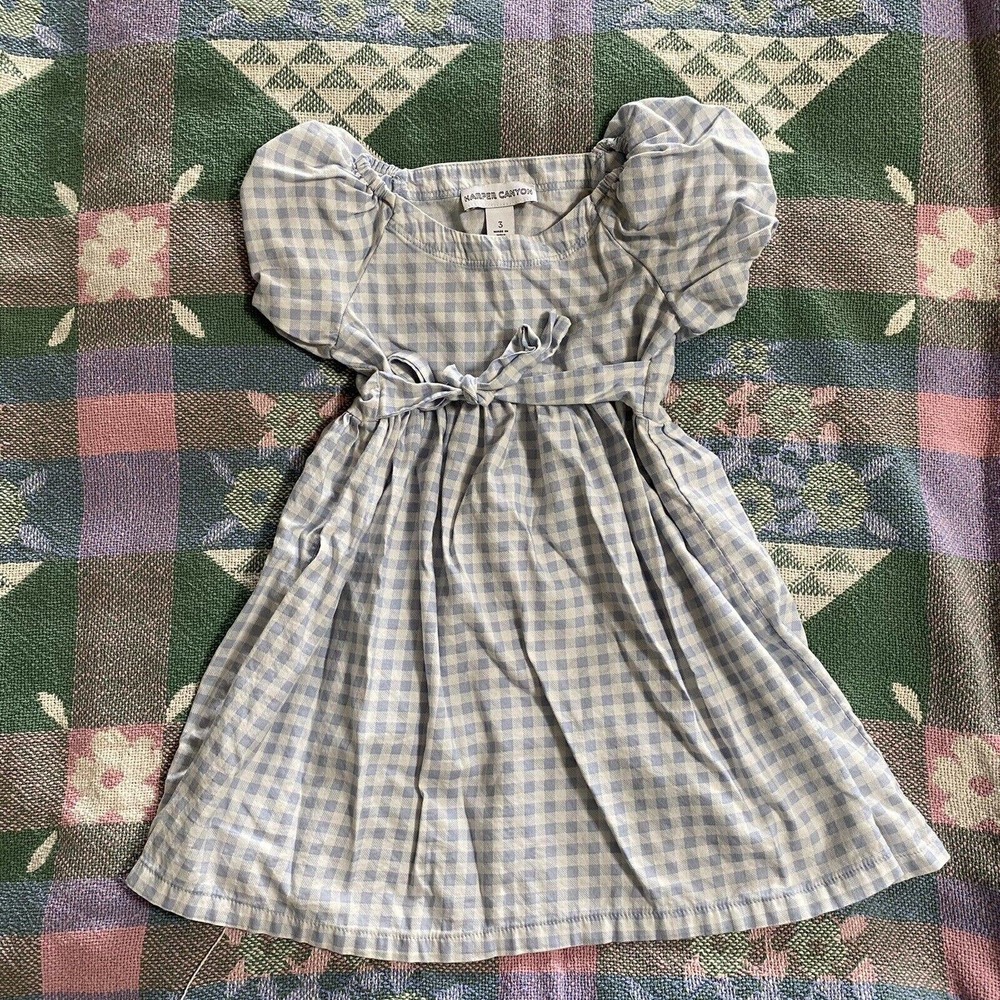 Harper Canyom Girls Blue Gingham Dress 3T